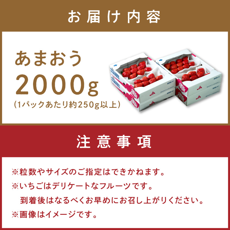フルーツソムリエが選んだ福岡産【春】あまおう8パック【011-0074】