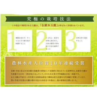 八女茶　煎茶ペットボトル　500ml×24本【015-0004】