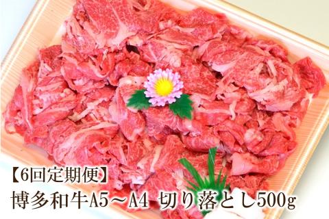 【6回定期便】博多和牛A5～A4 切り落とし500g【化粧箱入】【001-0363】