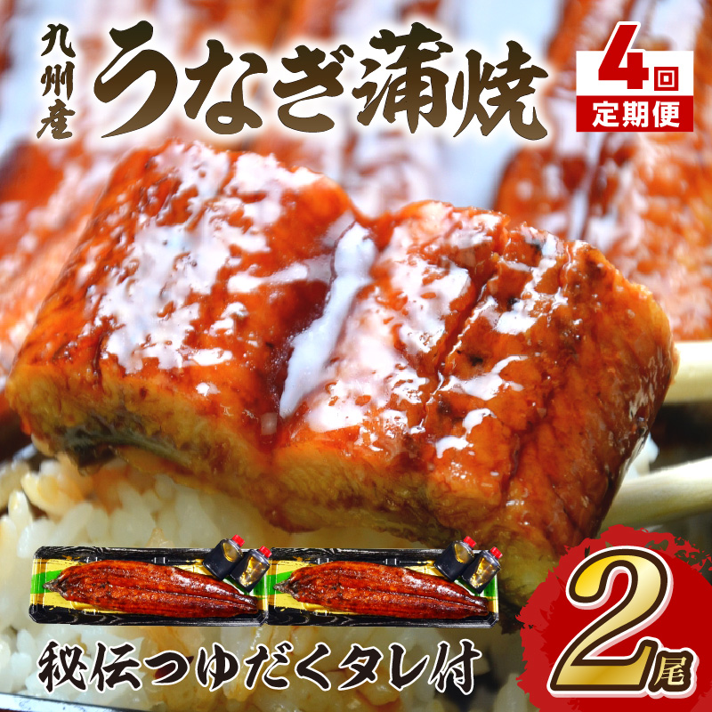 【4回定期便】九州産うなぎ蒲焼2尾　秘伝つゆだくタレ付【001-0384】