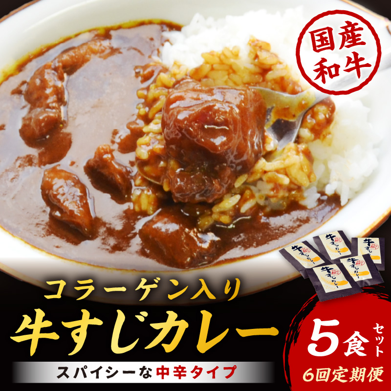 【6回定期便】ゴロッ!と入ったコラーゲン博多和牛　牛すじカレー5食セット【001-0388】
