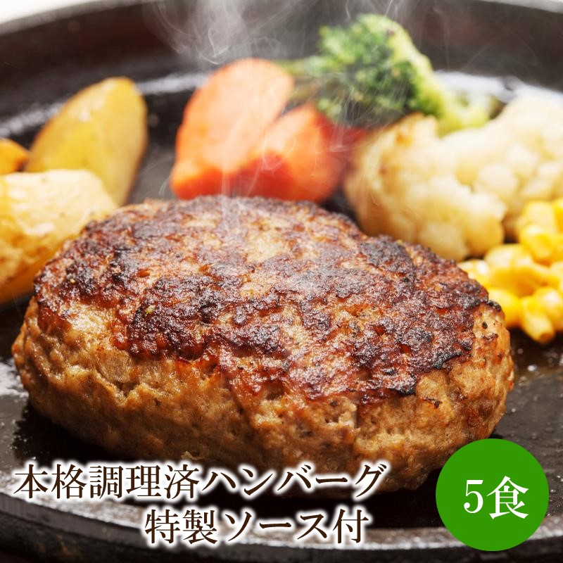 本格調理済ハンバーグ特製ソース付5食【001-0305】