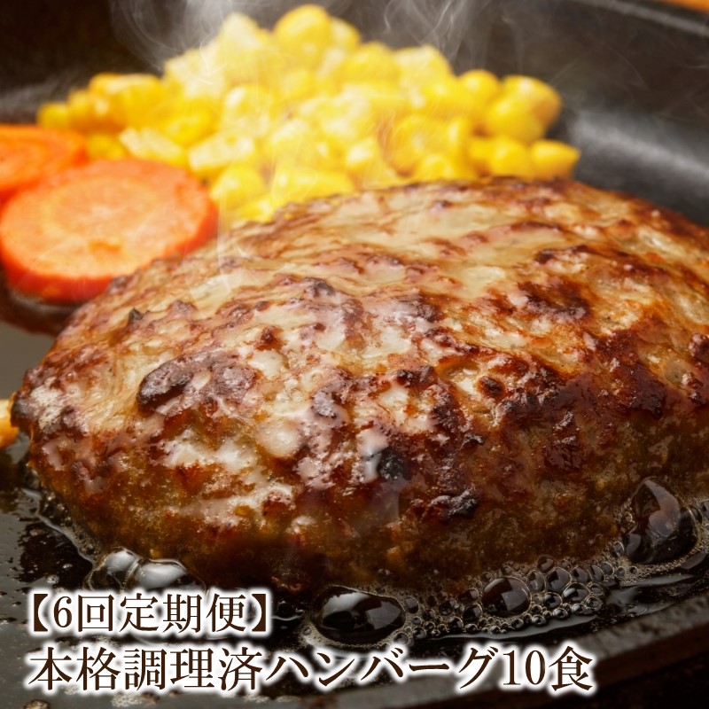 【6回定期便】本格調理済ハンバーグ10食 特製ソース付【001-0379】