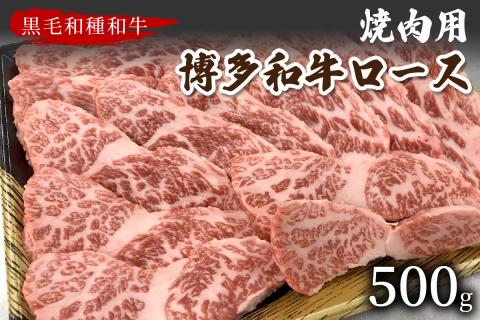 【数量限定】博多和牛ロース焼肉用(500g)【009-0011】