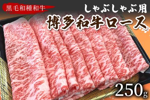 【数量限定】博多和牛ロースしゃぶしゃぶ用 250g【009-0012】