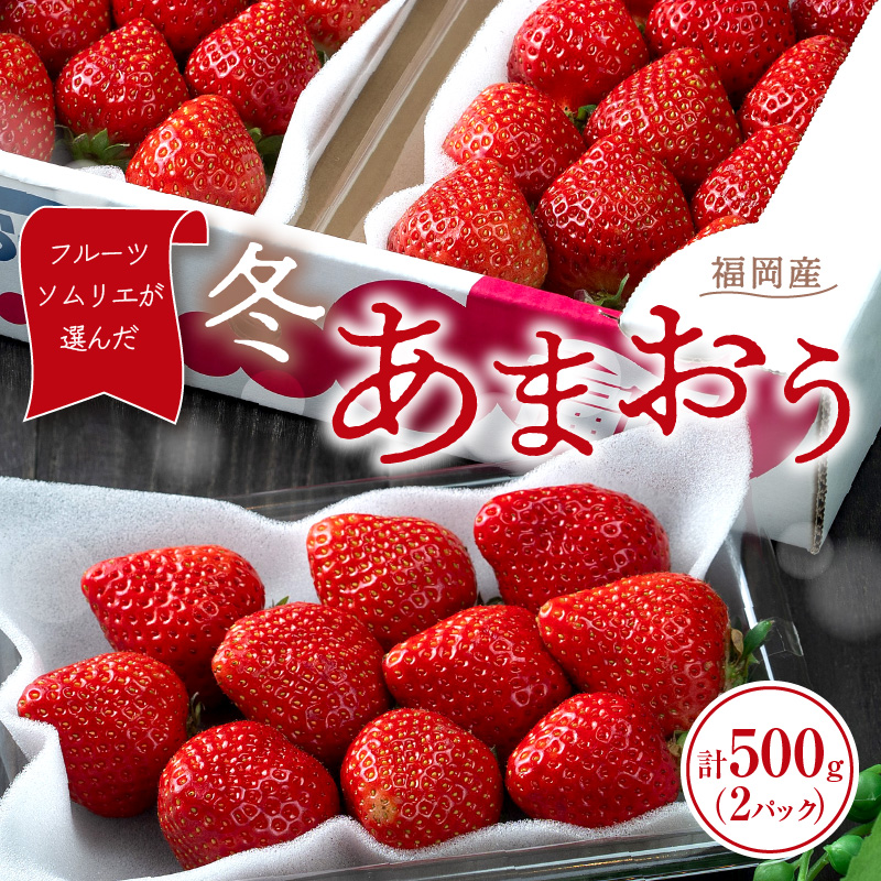 フルーツソムリエが選んだ福岡産【冬】あまおう2パック【011-0071】