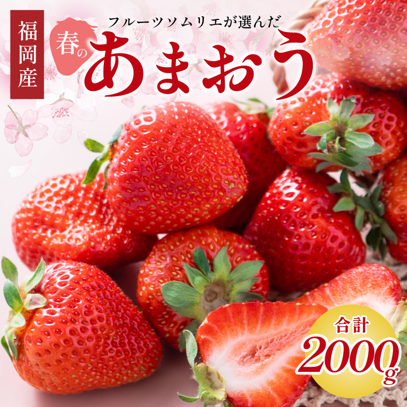フルーツソムリエが選んだ福岡産【春】あまおう8パック【011-0074】