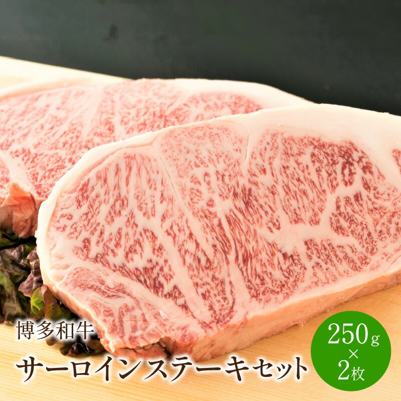 博多和牛サーロインステーキセット　500g[250g×2枚]【014-0028】
