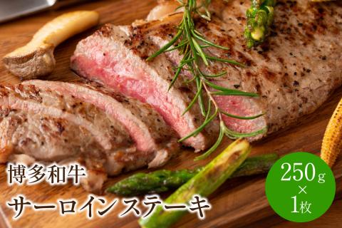 博多和牛サーロインステーキ　250g[250g×1枚]【014-0029】