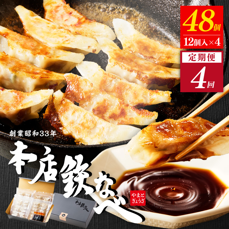 【4回定期便】本店鉄なべ冷凍ぎょうざ48個入り【040-0007】