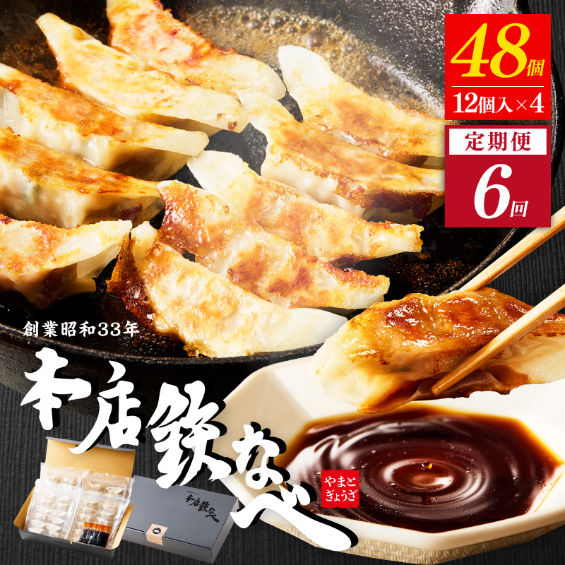 【6回定期便】本店鉄なべ冷凍ぎょうざ48個入り【040-0008】