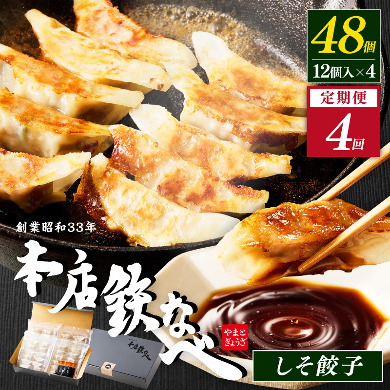 【4回定期便】本店鉄なべ冷凍しそぎょうざ48個入り【040-0010】