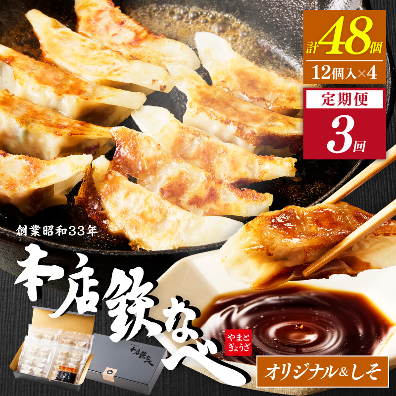 【3回定期便】本店鉄なべ冷凍ぎょうざと冷凍しそぎょうざ48個入り交互にお届け【040-0012】