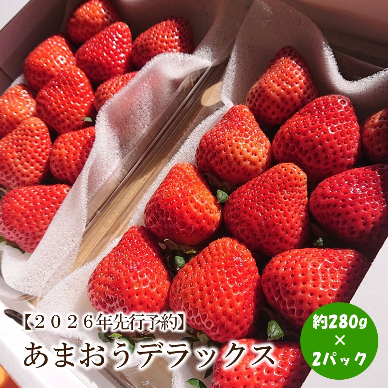 【2026年先行予約】あまおうデラックス(2パック)【044-0059】