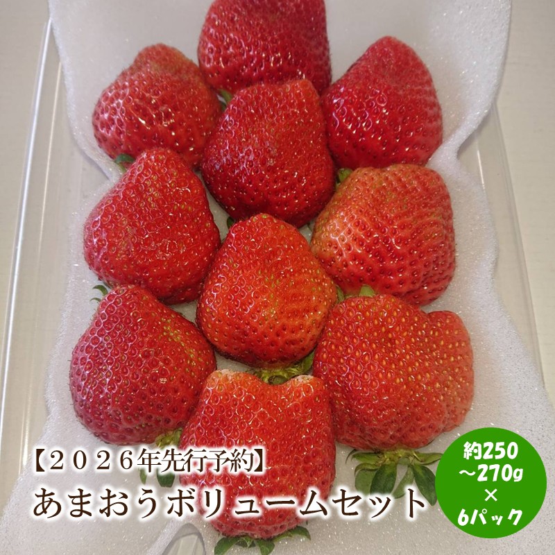 【2026年先行予約】あまおうボリュームセット(6パック)【044-0061】