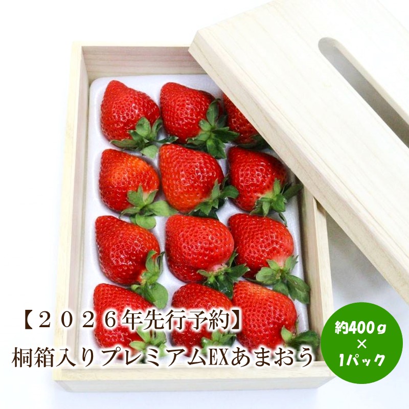 【2026年先行予約】桐箱入りプレミアムEXあまおう【044-0063】