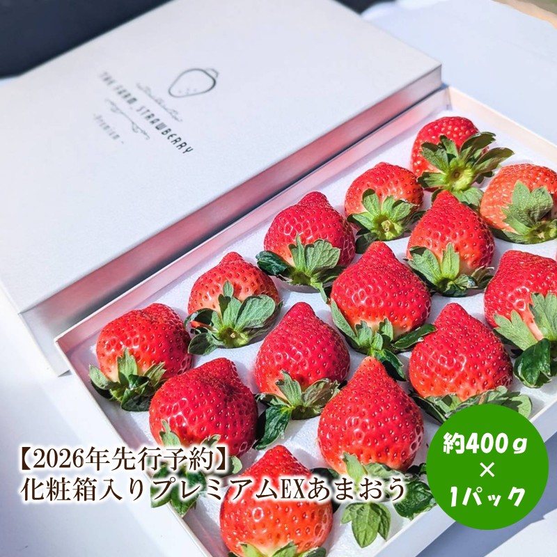 【2026年先行予約】化粧箱入りプレミアムEXあまおう【044-0069】