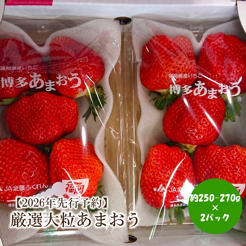 【2026年先行予約】厳選大粒あまおう(約250-270gx2パック)【044-0070】