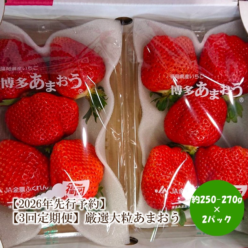 【2026年先行予約】【3回定期便】厳選大粒あまおう(約250-270gx2パック)【044-0071】