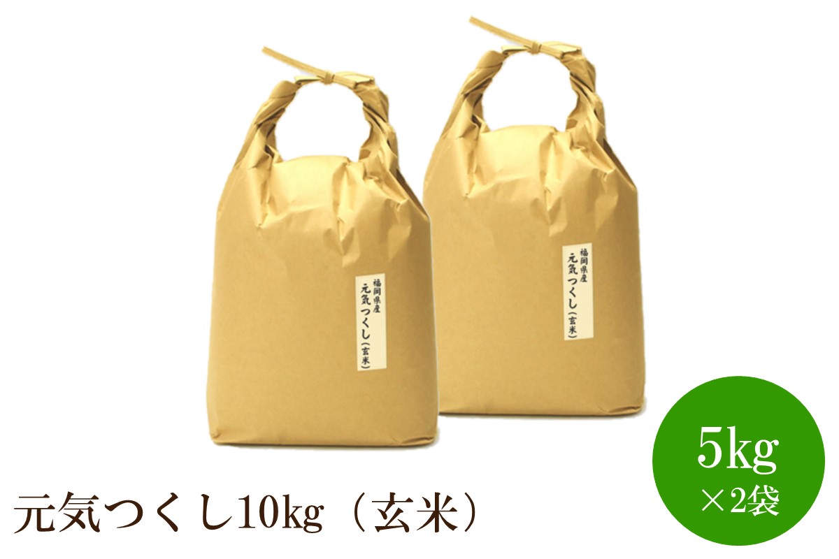 福岡県産【特A】評価のお米「元気つくし」5kg×2袋[10kg][玄米]【059-0068】