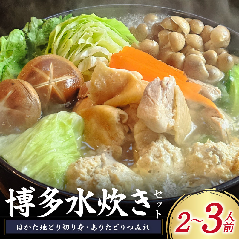 博多水炊き(はかた地どり切り身・つみれ)セット2～3人前【059-0072】