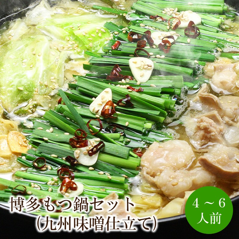 博多もつ鍋セット(九州味噌仕立て)4～6人前【059-0076】
