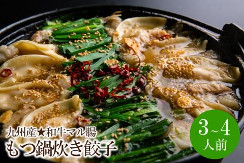 ぶどうの樹　九州産★和牛マル腸　もつ鍋（炊き餃子付き）あごだし醤油 （3～4人前）【066-0001】