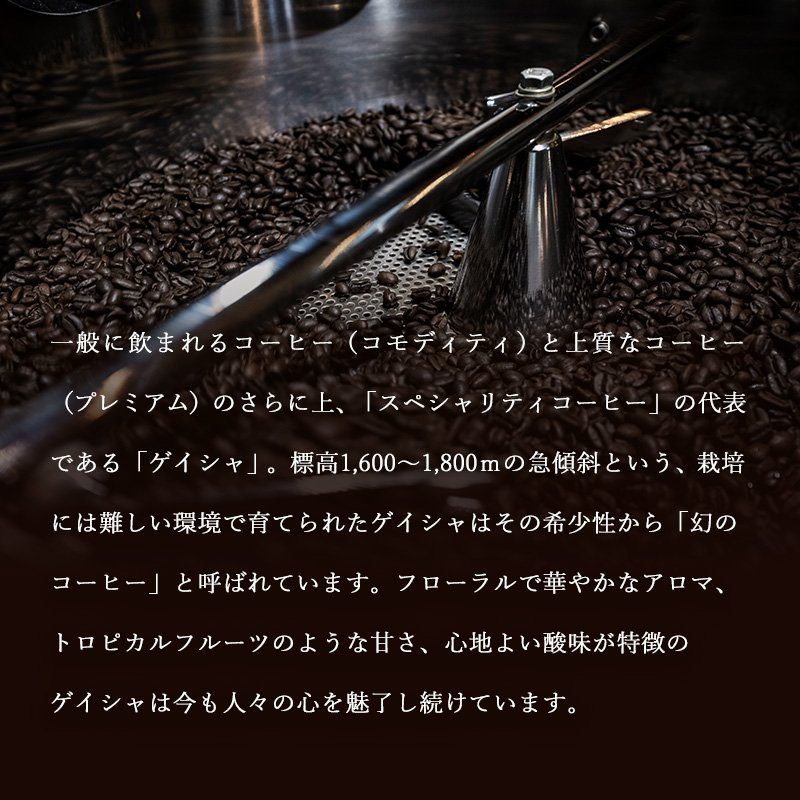 定期便 6ヶ月 世界最高峰 珈琲の一つ ゲイシャ (豆) 100g×2 ポスト投函 珈琲 コーヒー 6回 お楽しみ Morrow珈琲