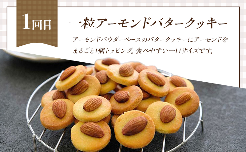 定期便 6回 低糖質 手作り クッキー 6ヶ月コース スイーツ