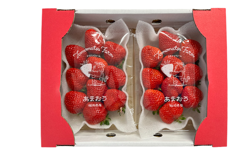 いちご 1箱 (270g×2パック) あまおう あまえくぼ さくら淡雪 (いちご食べ比べセット) ※品種はおまかせ