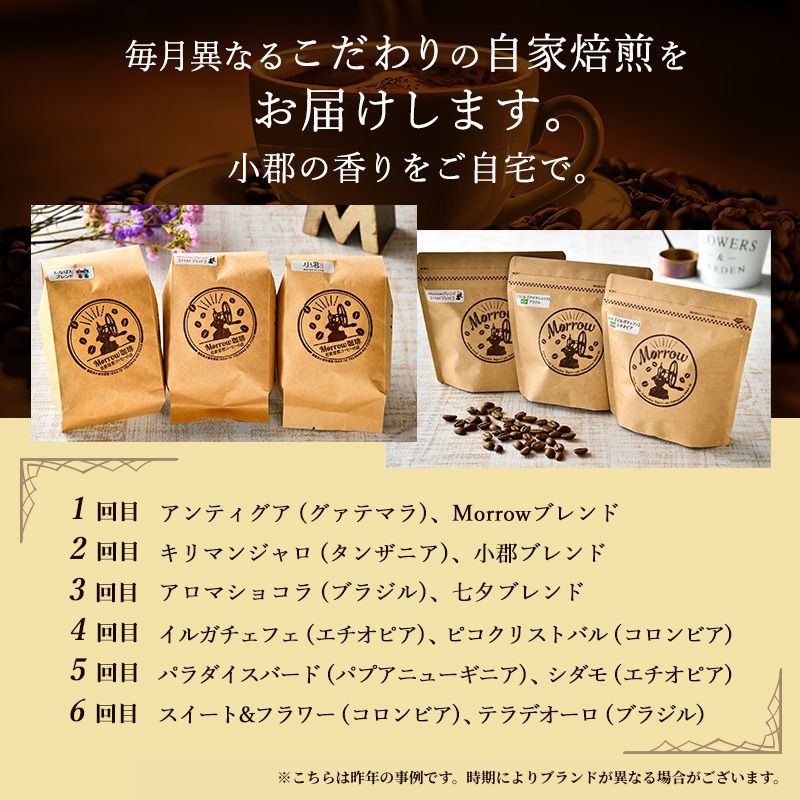 コーヒー 定期便 12ヶ月 自家焙煎 Morrow珈琲 100g×2種 粉 中挽き