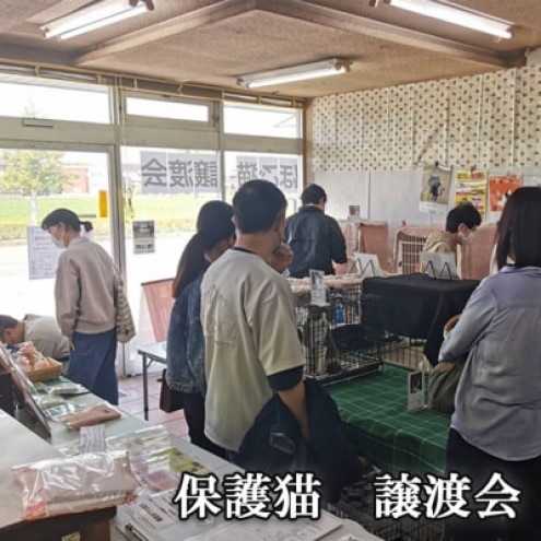 花瓶 さくらねこサポート アルダー製 フラワーベース 1本 インテリア