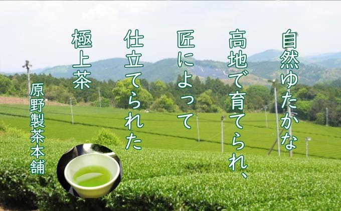 緑茶 八女茶 1kg 250g×4袋 茶 お茶 煎茶 飲料 茶葉