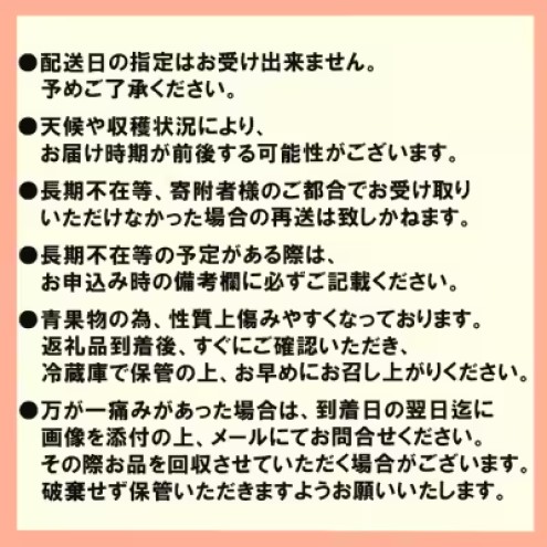 いちご 産地直送 栽培期間中 減農薬栽培 あまおう 2パック (約280g×2) イチゴ 苺 先行予約 ※配送不可：北海道、沖縄、離島