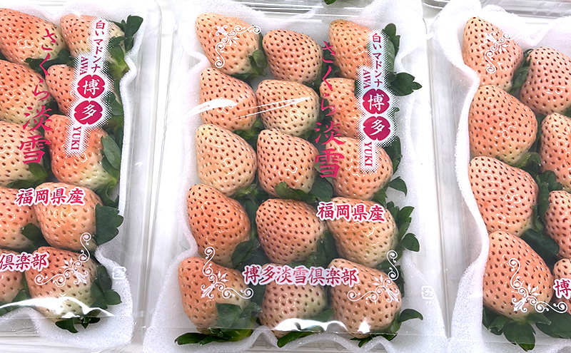 いちご 1箱 (270g×2パック) あまおう あまえくぼ さくら淡雪 (いちご食べ比べセット) ※品種はおまかせ