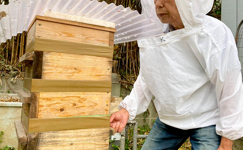 はちみつ 日本蜜蜂の百花蜜 フルーティーな味 340g×1本