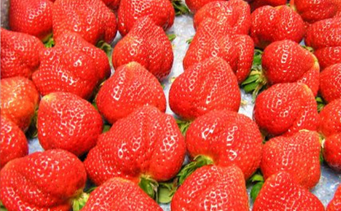 アイスクリーム あまおう 6個 セット ピミル・オルペミ 福岡特産 いちご 苺 イチゴ アイス デザート スイーツ 配送不可：沖縄、離島