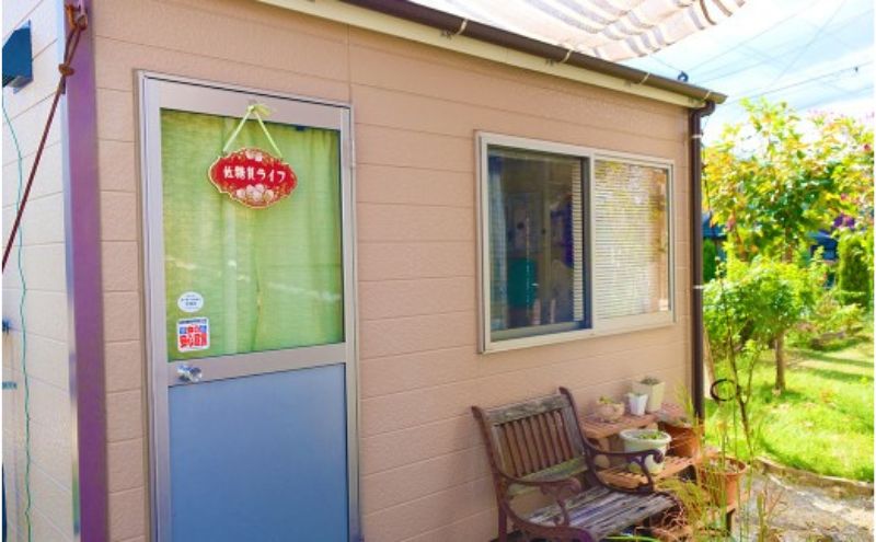 【低糖質】手作りペカンナッツタルト