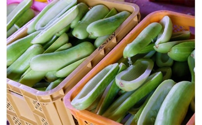 漬け物 無添加 特製 奈良漬け 約200g×4～5枚 酒蔵の酒粕漬け 酒粕付 化粧箱入 大正の創業より100年 老舗 森山酒造