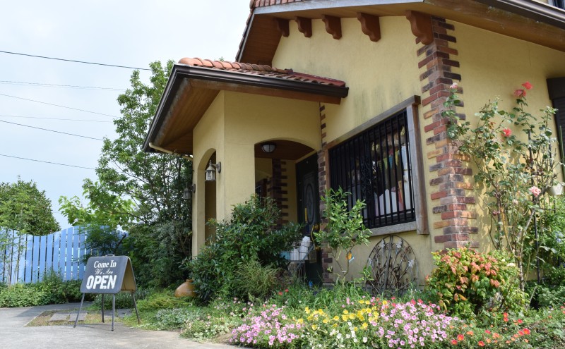 はちみつ 恋するはちみつ もちの木プレミアム 500g×2本 国産 天然 純はちみつ スタンド式ボトル ハチミツ 蜂蜜 ハニーベル