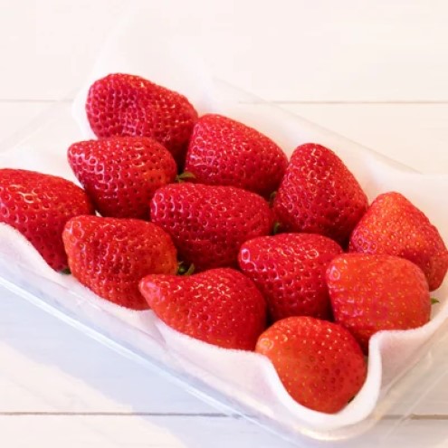 いちご 産地直送 栽培期間中 減農薬栽培 あまおう 2パック (約280g×2) イチゴ 苺 先行予約 ※配送不可：北海道、沖縄、離島