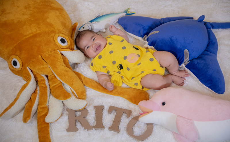 撮影 「平日限定」 小郡観光名所で出張記念撮影 記念撮影 記念写真 写真 撮影 体験 思い出 記念 イベント 福岡県 小郡市 ※配送不可:離島