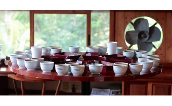 珈琲 自家焙煎 ブルーマウンテン No.1＆ゲイシャ 各100g：粉