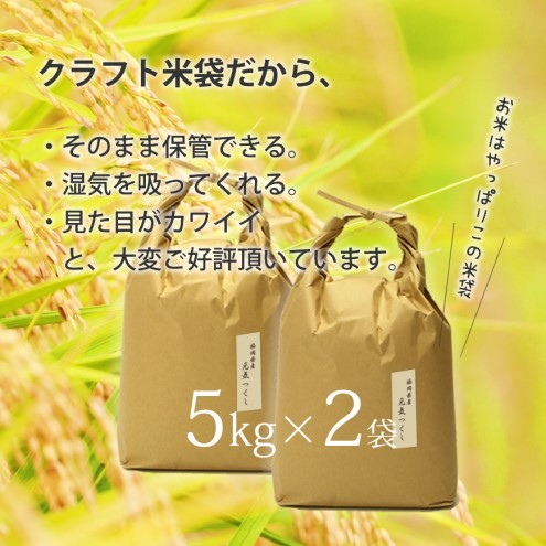 R7年産 米 元気つくし 10kg (5kg×2袋) 特A米 特a 発送当日精米 