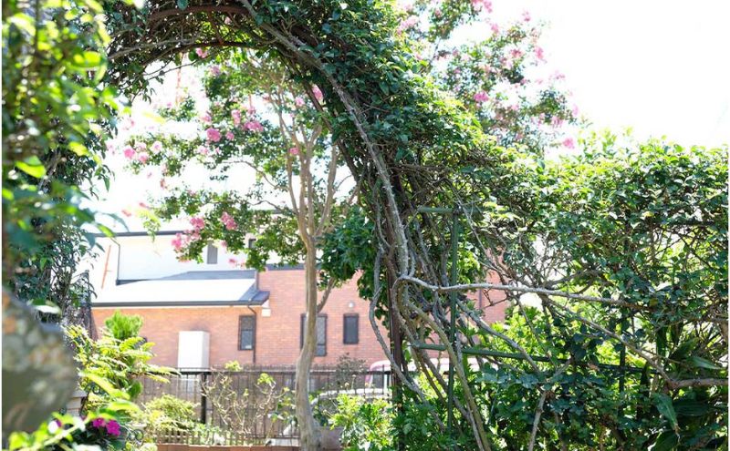 【低糖質】手作り 一口きなこバタークッキー