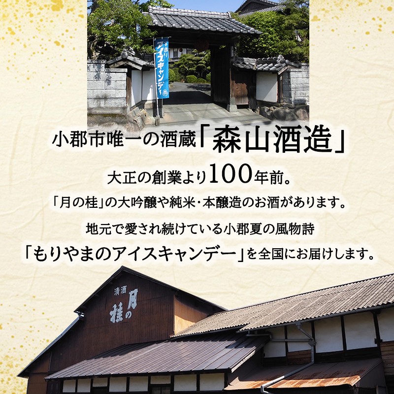 アイス もりやまのアイスキャンディー 20本入 セット 無添加 小郡 夏の風物詩 アイスキャンディー 4種 ミルク あずき チョコ 抹茶 デザート お楽しみ