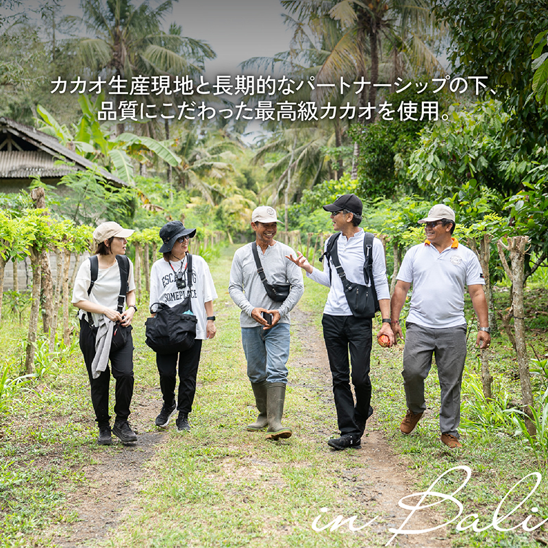 【定期便/3回】ボンボンショコラ5個&フェーブ80g（コイン状チョコレート）／NICOchocolaterie チョコレート チョコレート専門店 ボンボンショコラ スイーツ お菓子 贈答用 ギフト お取り寄せ 福岡県 小郡市