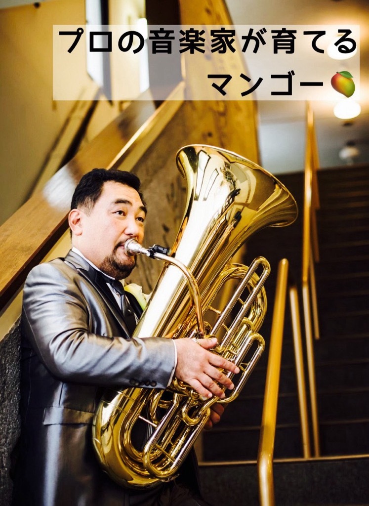 マンゴー 完熟 アップルマンゴー 1kg (大玉1～2玉) 果物 南国フルーツ 福岡県 小郡市