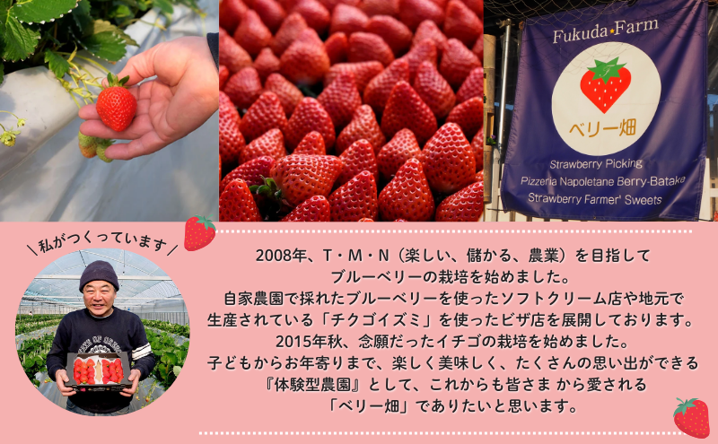 いちご 『先行予約』【2026年1月中旬以降お届け】 天使のいちご 白いちご 280g×2p 計2パック 560g フルーツ いちご 苺 イチゴ 果物 デザート 福岡県 小郡市 福田ファーム ※配送不可：沖縄、離島
