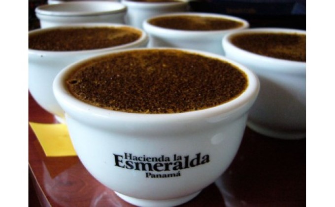 珈琲 世界最高峰の一つ ラ・エスメラルダ ゲイシャ 200g×2：粉